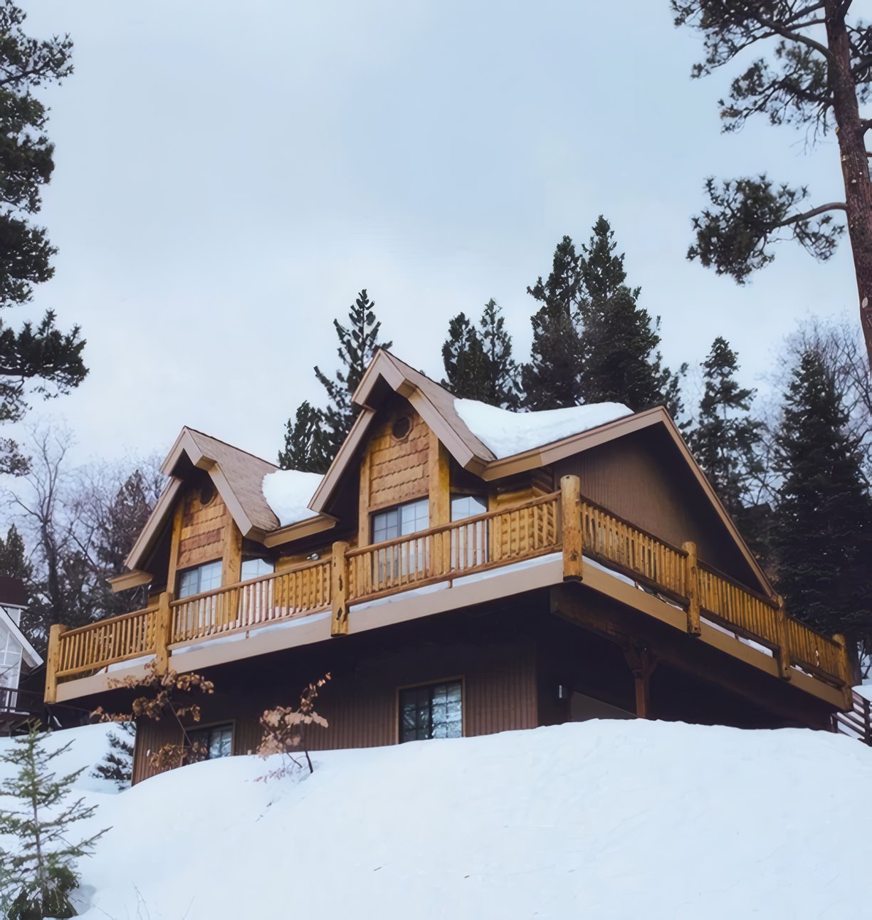 Marmot Cabin