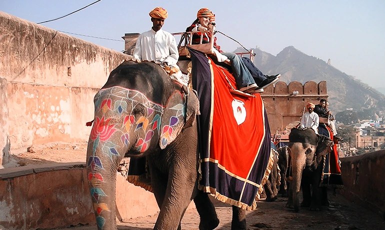 Painted elephants carrying visitors up to Amber Fort