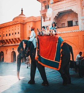 A painted elephant carrying visitors up to Amber Fort