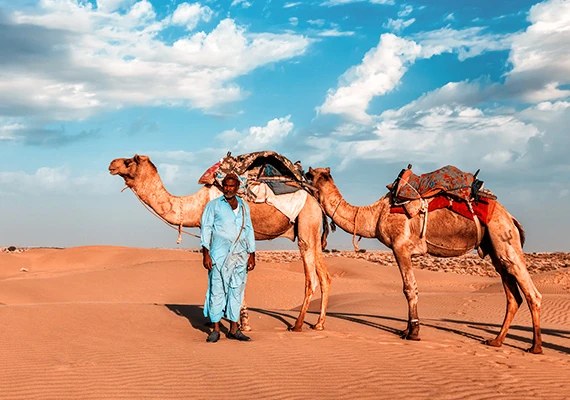 A camel handler leading two camels across the dunes