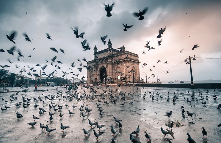 A harbour gateway by the sea with pigeons in flight