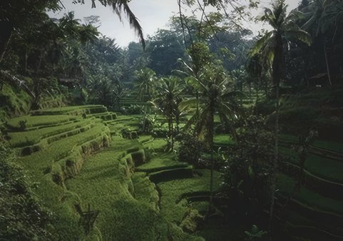The Green Season, And Why We Love It