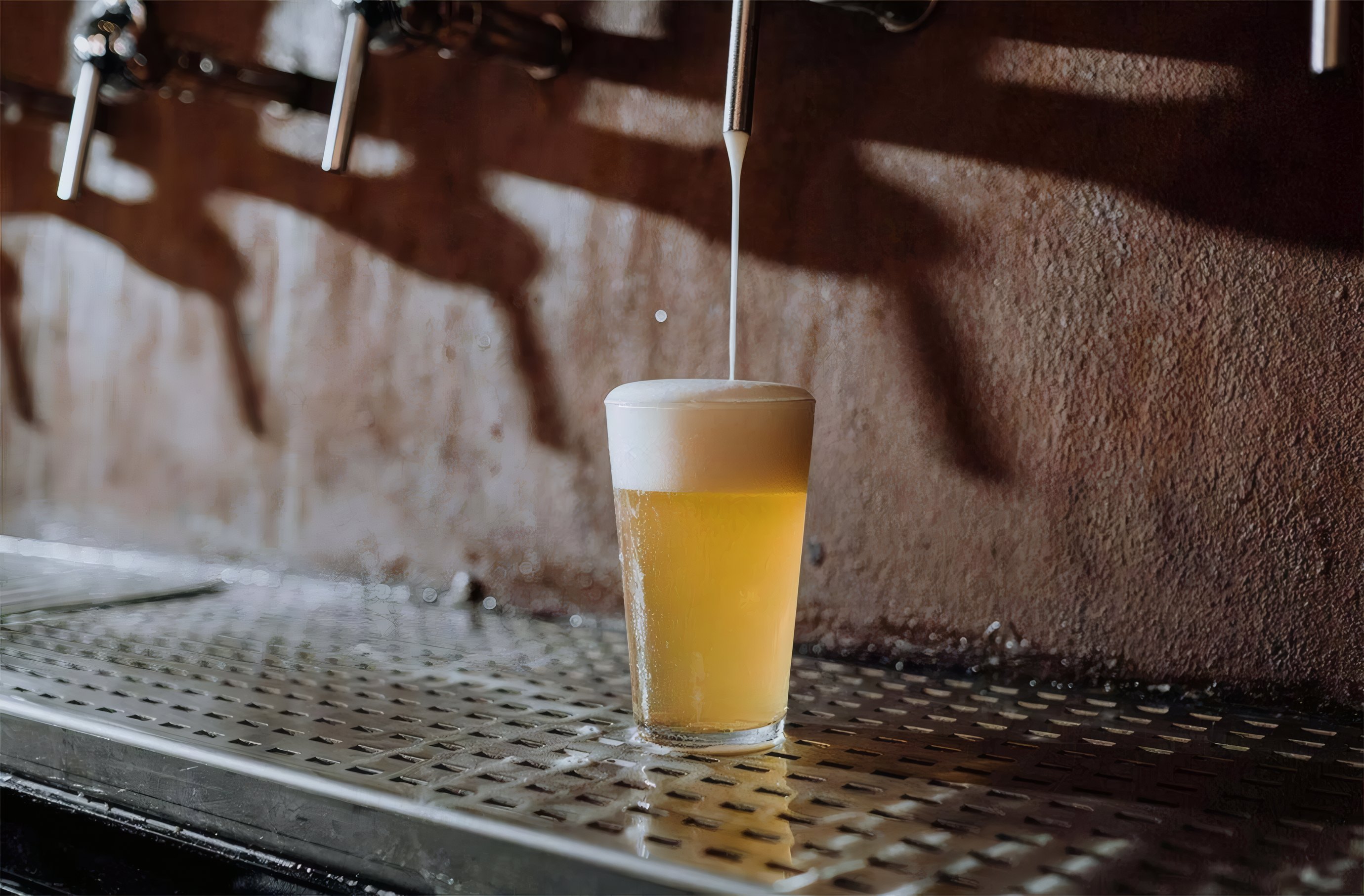 A fresh pint poured at the taproom bar