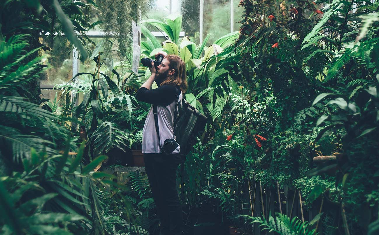 A photographer among ferns