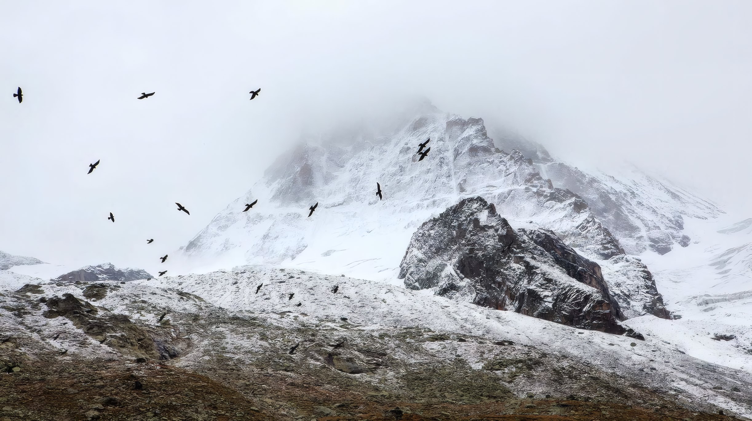 A snow peak in Lofoten with birds over the ridge
