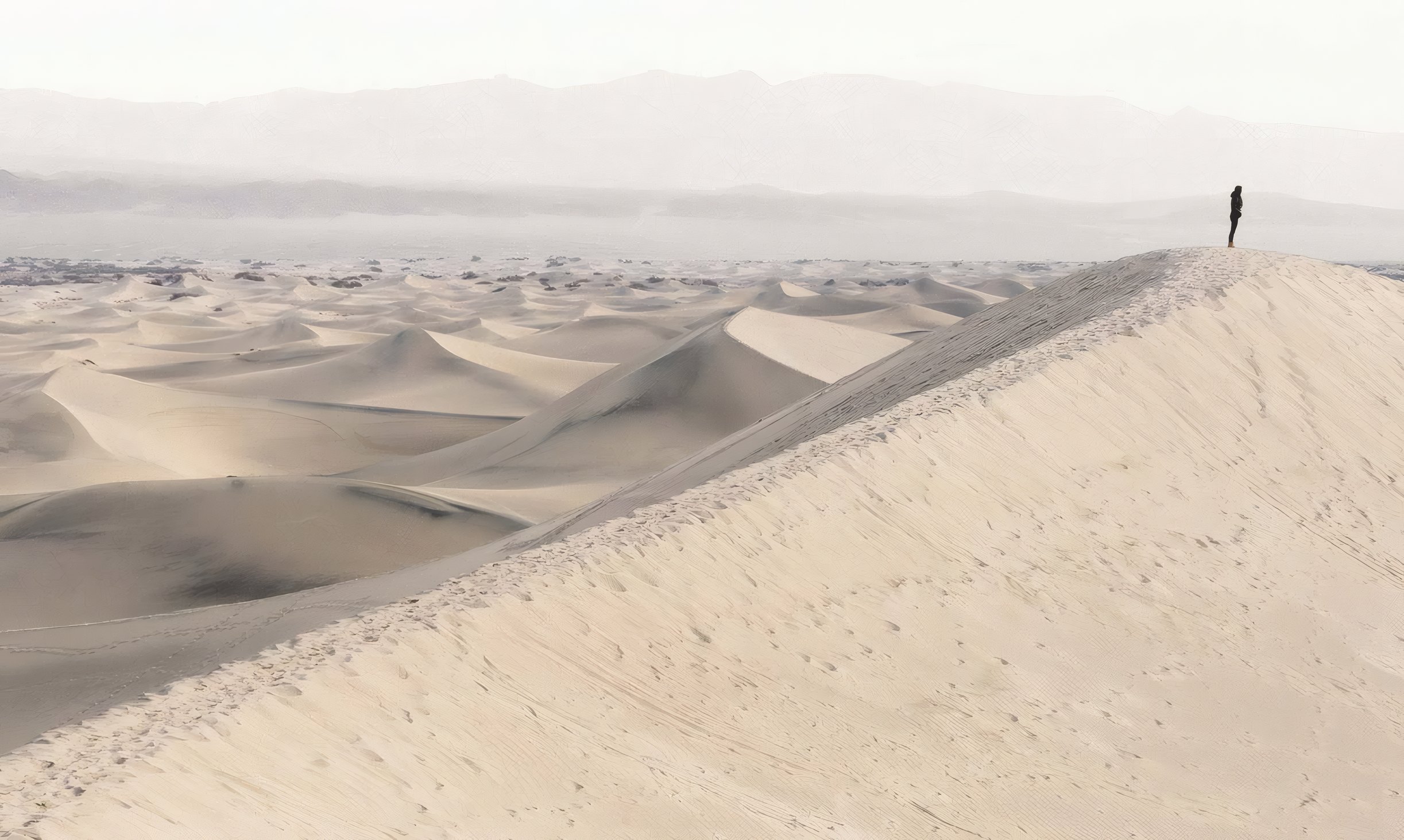 A walker on the crest of a long dune in the Namib