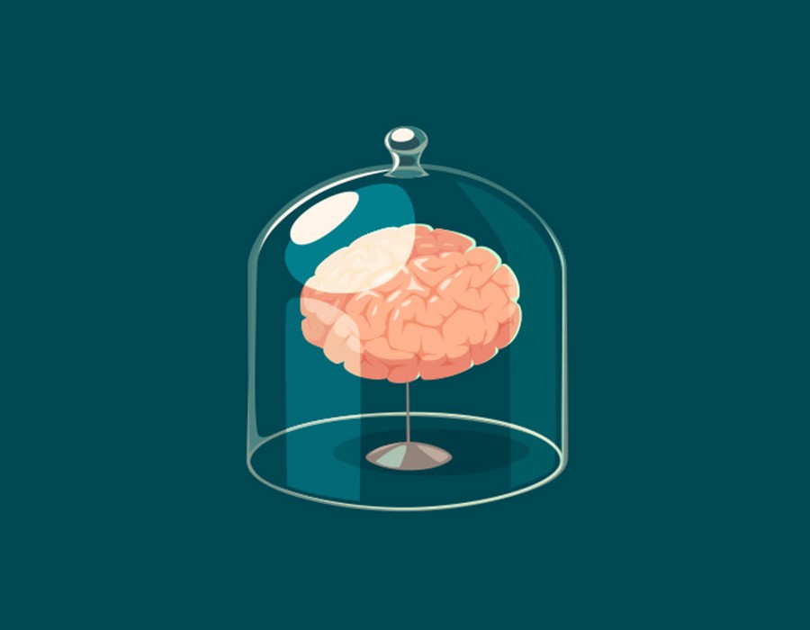 Brain In A Jar