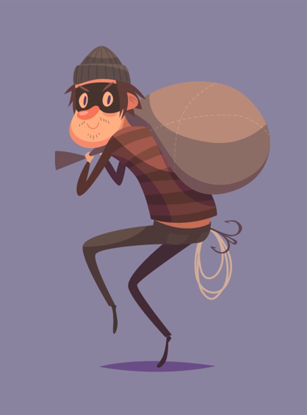 The Night Burglar