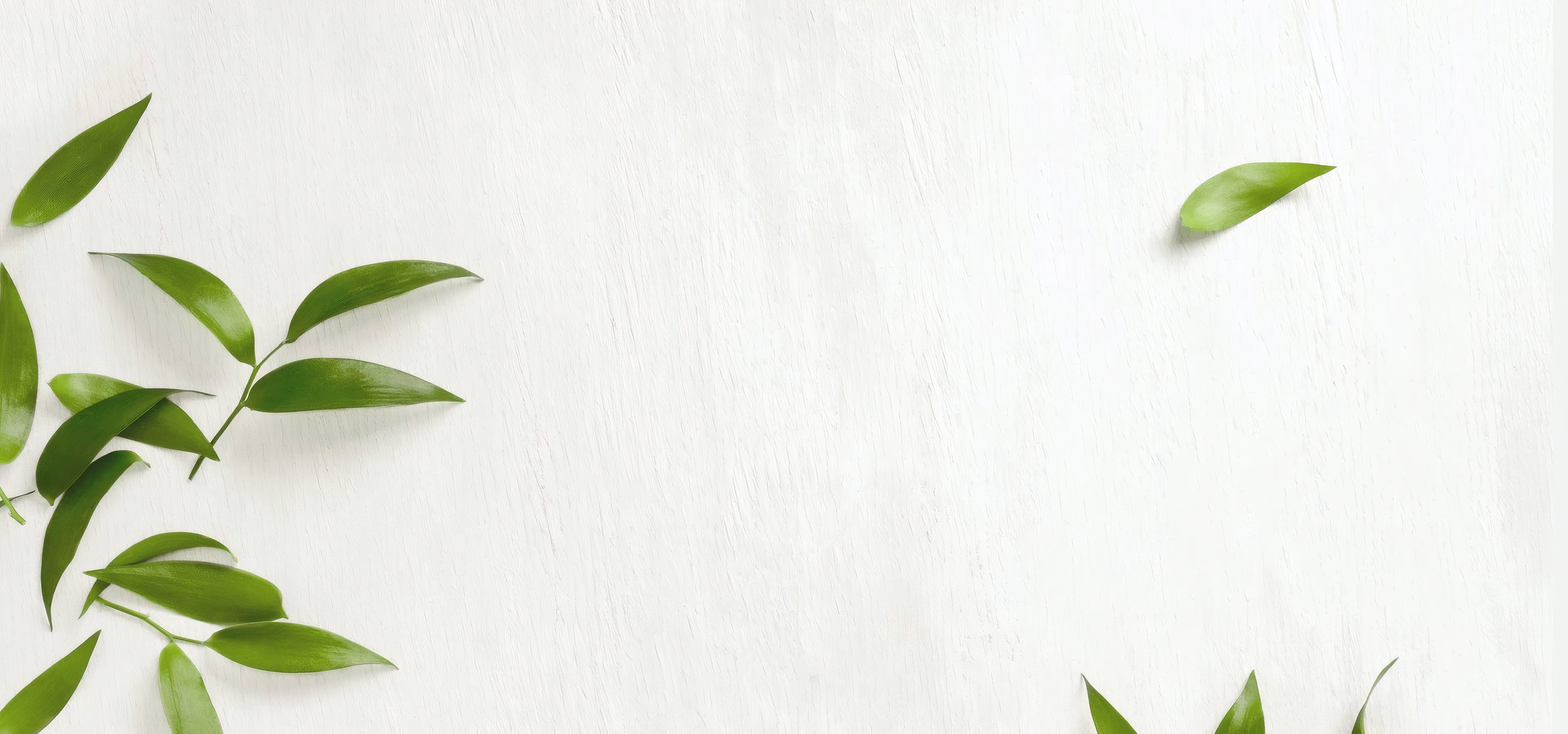 Fresh tea leaves and a bowl of green tea on white wood
