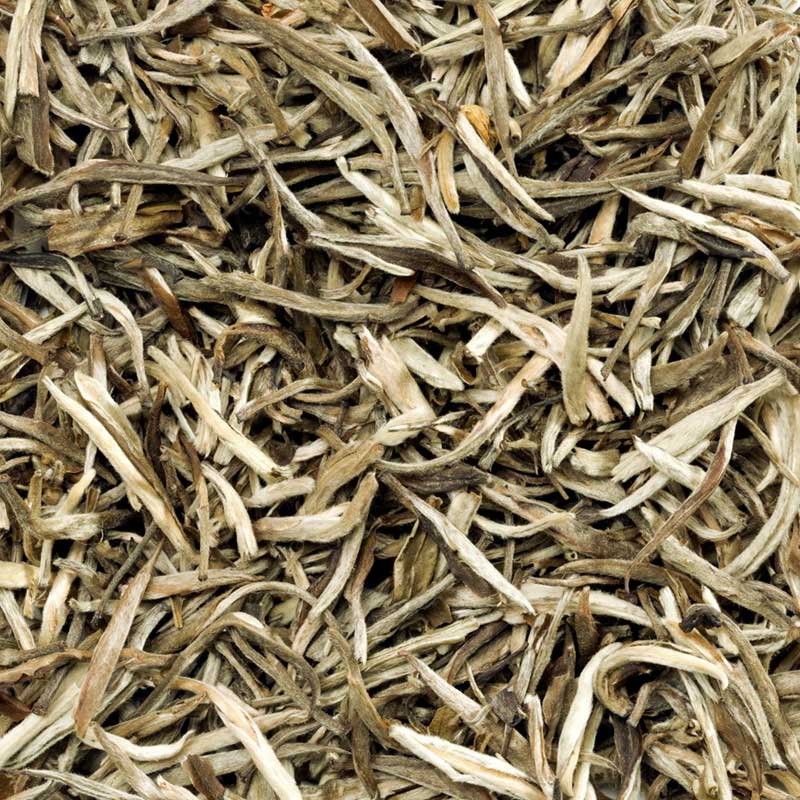 Loose-leaf Green Garden