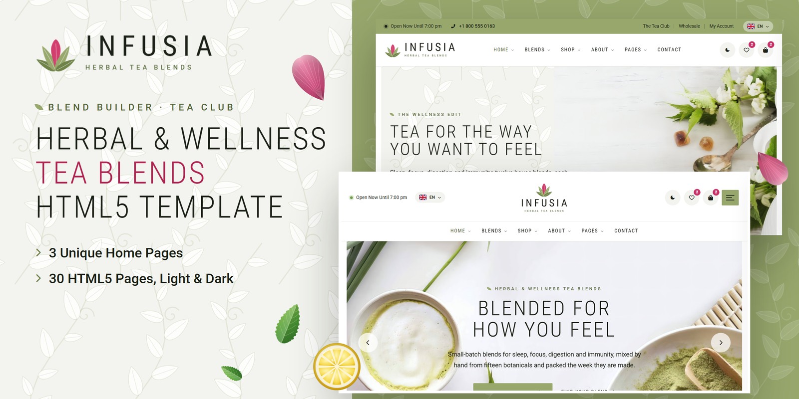 Infusia template home pages