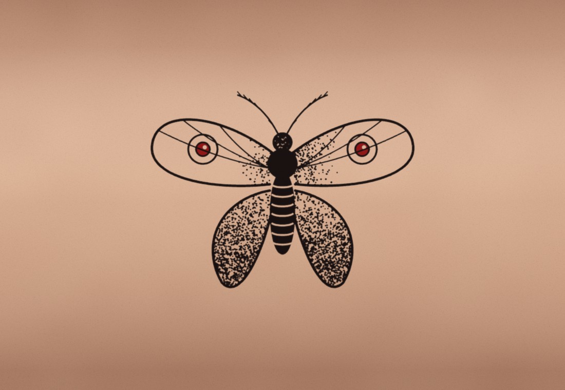 A fresh moth tattoo on a forearm