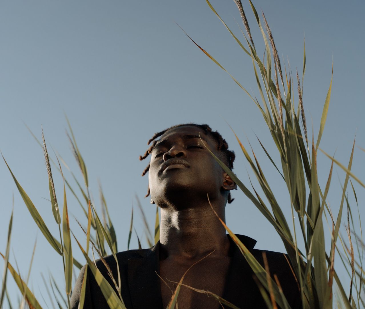 Reed Country, documentary for Atlas Docs