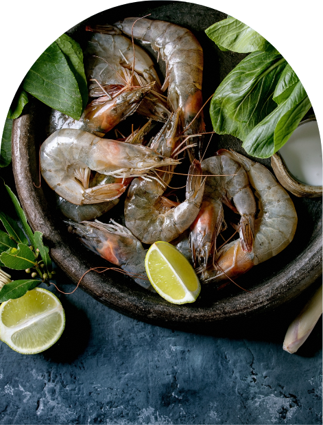 Prawns with lime and herbs on a dark plate