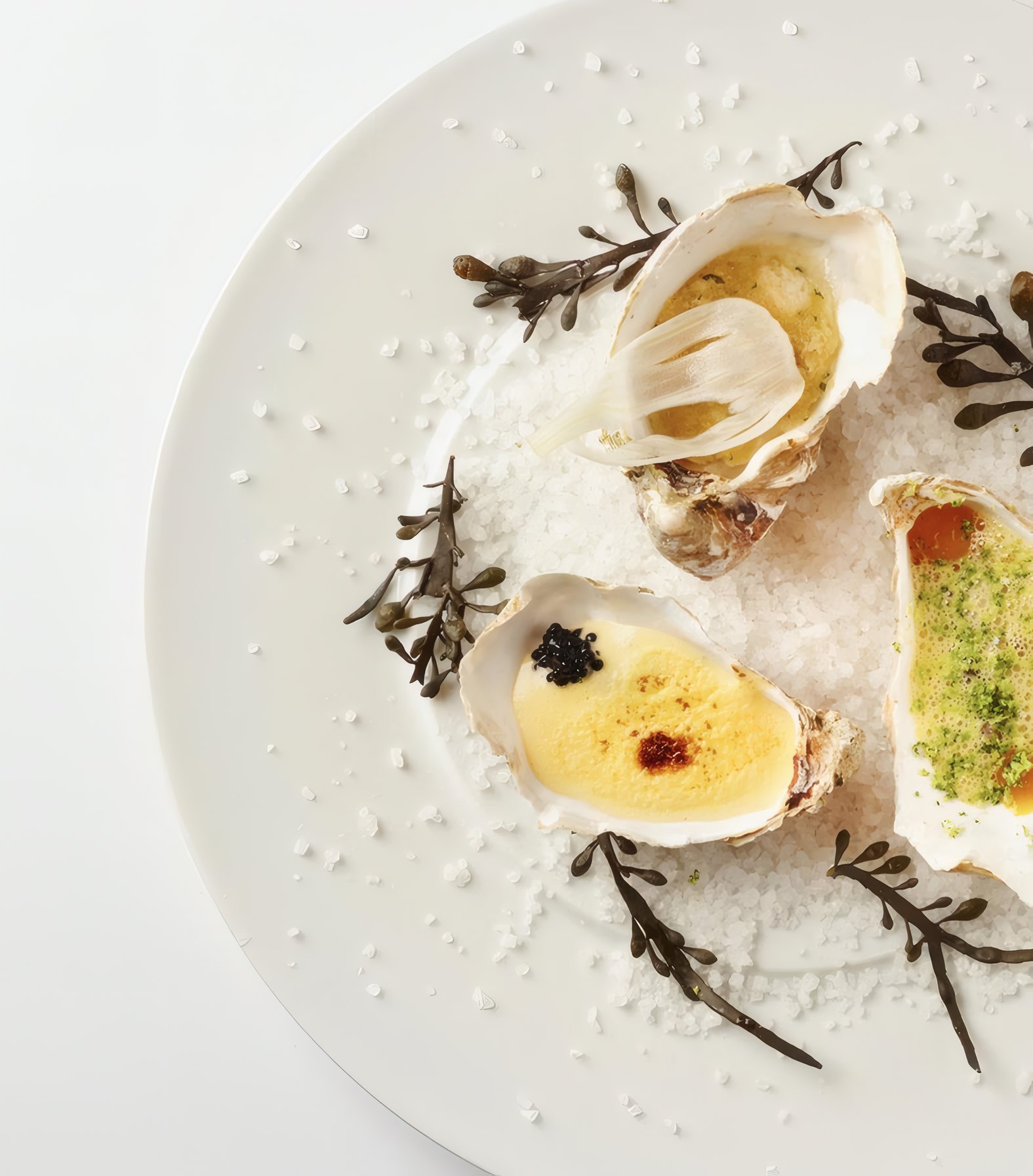 Grilled oysters on salt with sea herbs on a white plate