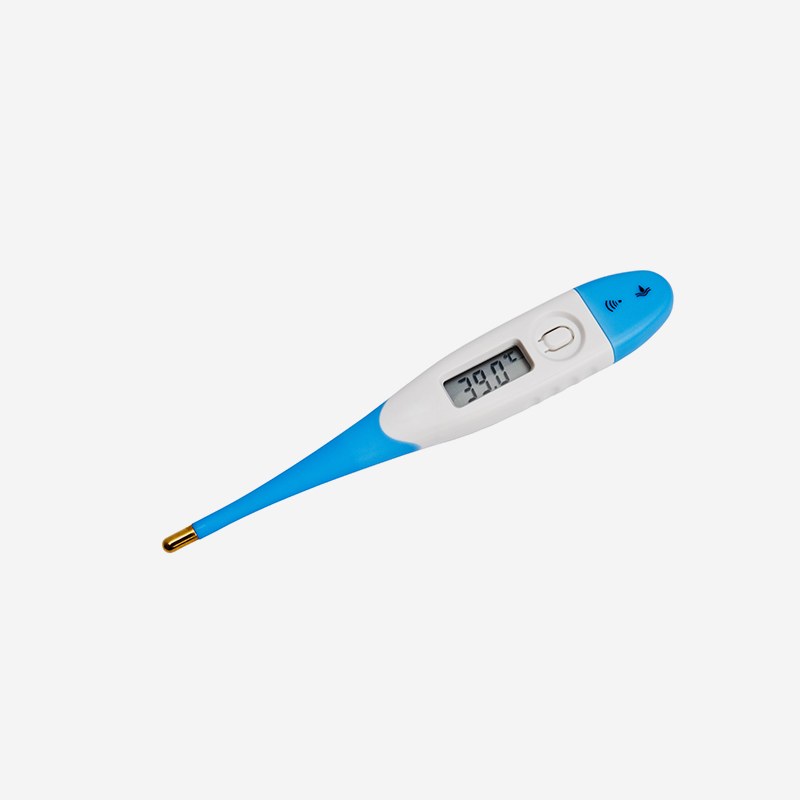 Digital Thermometer