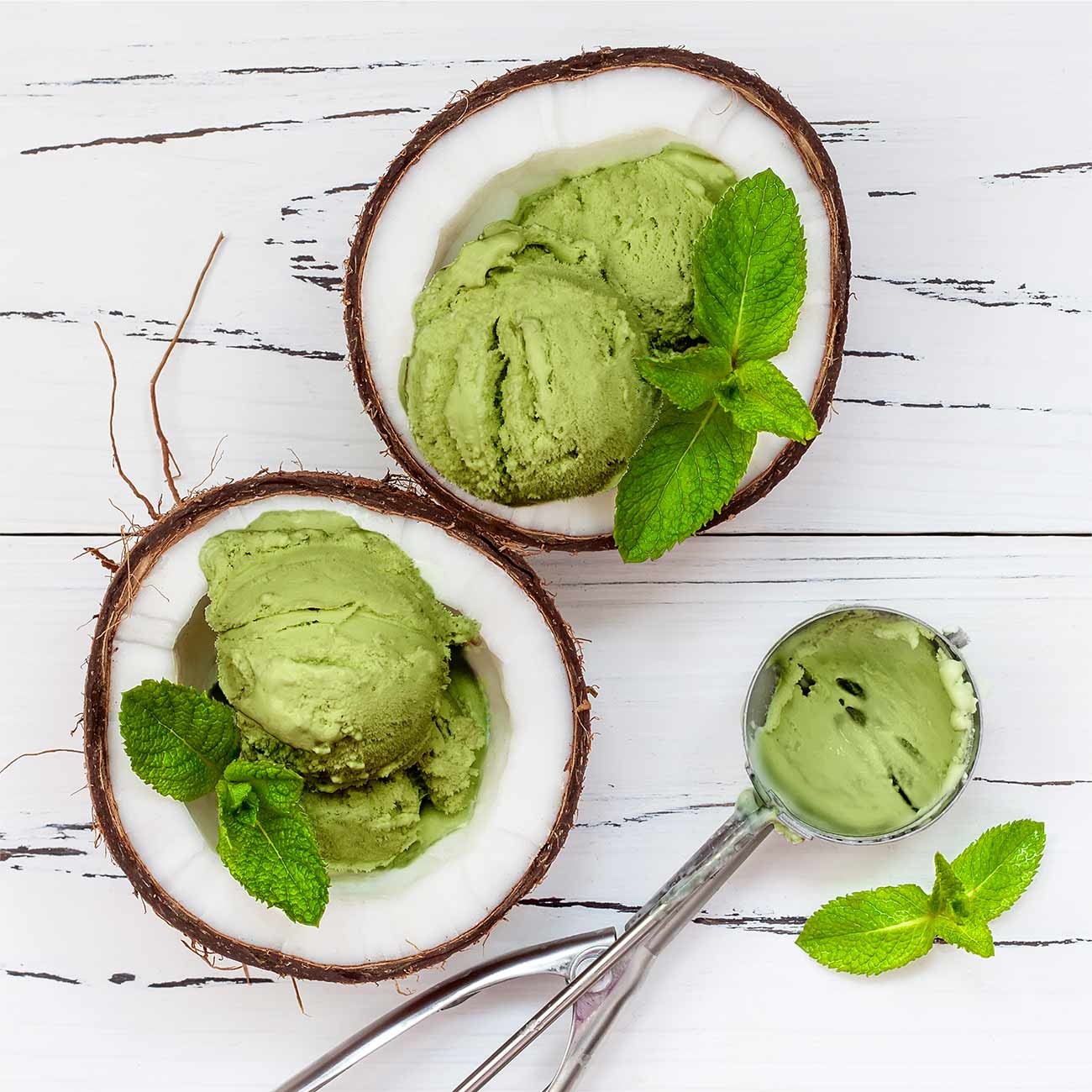 Avocado Coconut Sorbet