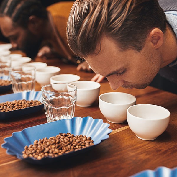 Organic Coffee Beans