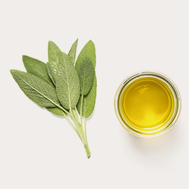 Sage Infused Olive Oil