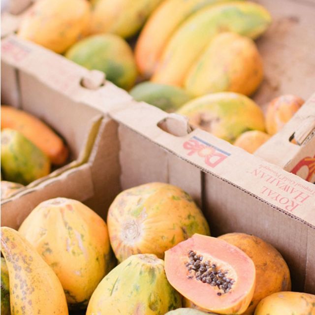 White Peaches on the Pantrio feed
