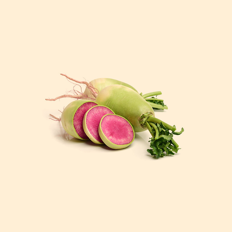 Watermelon Radish