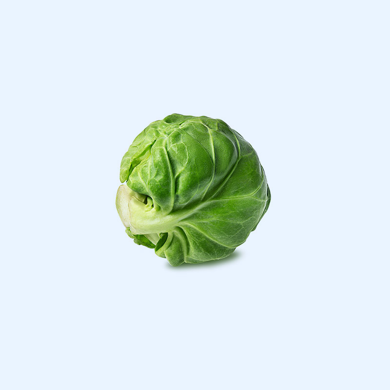 Green Cabbage