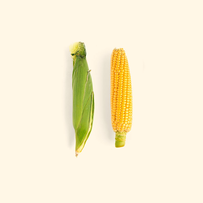 Sweet Corn