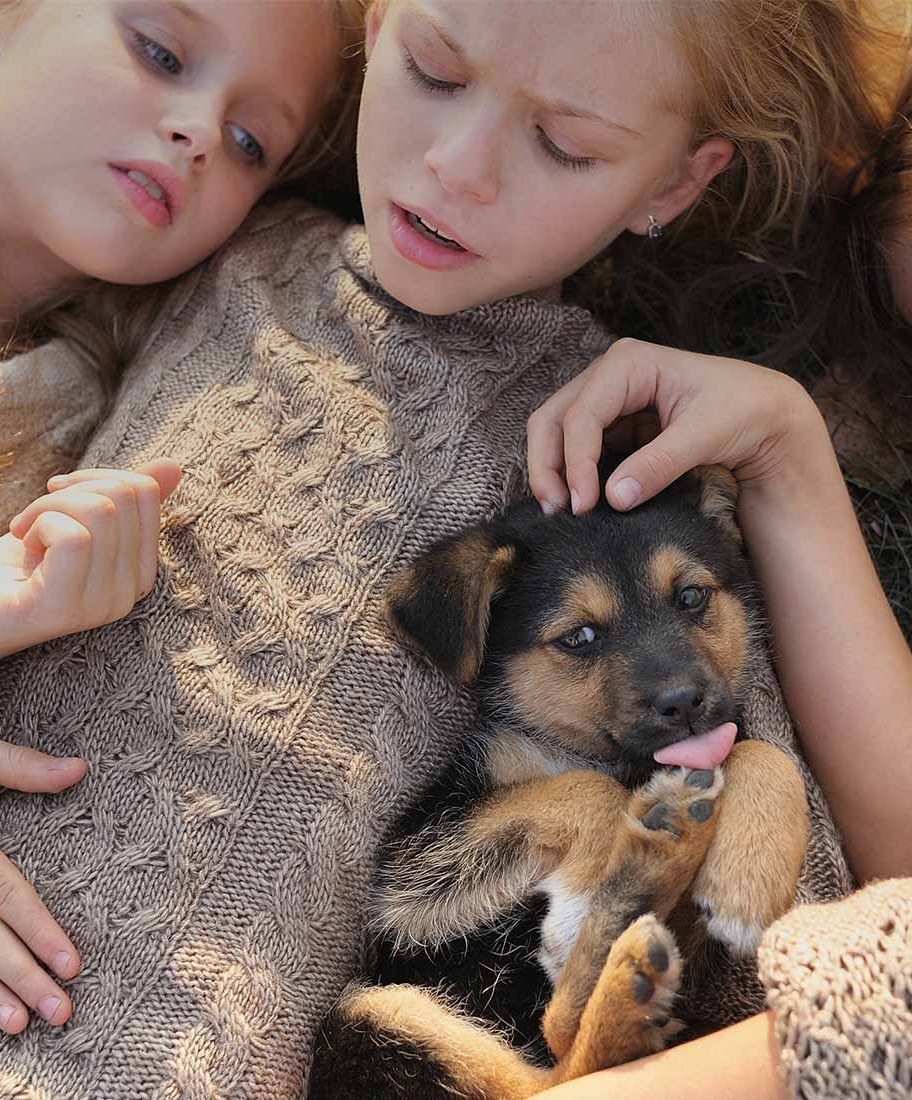 Little Knits