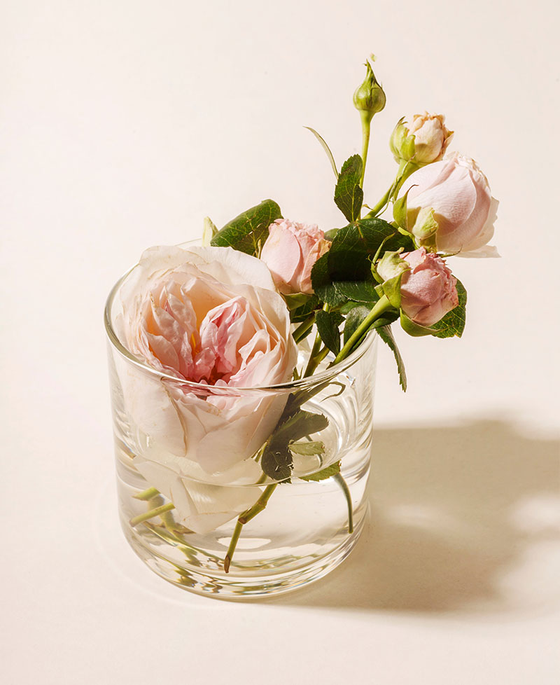 Garden roses in a glass vase