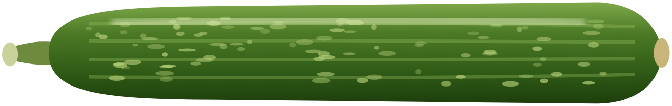 Courgette