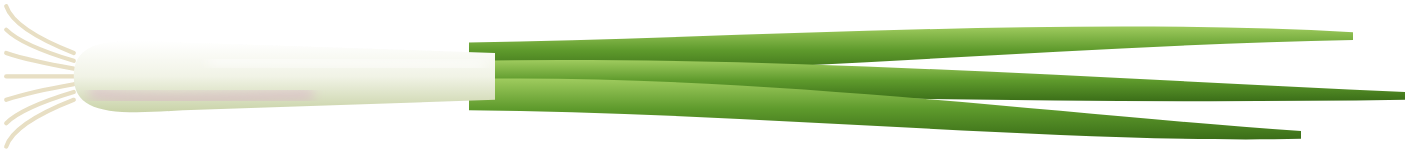 Spring Onion