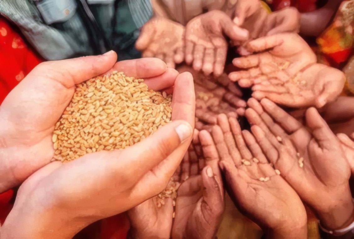 Hands holding grain