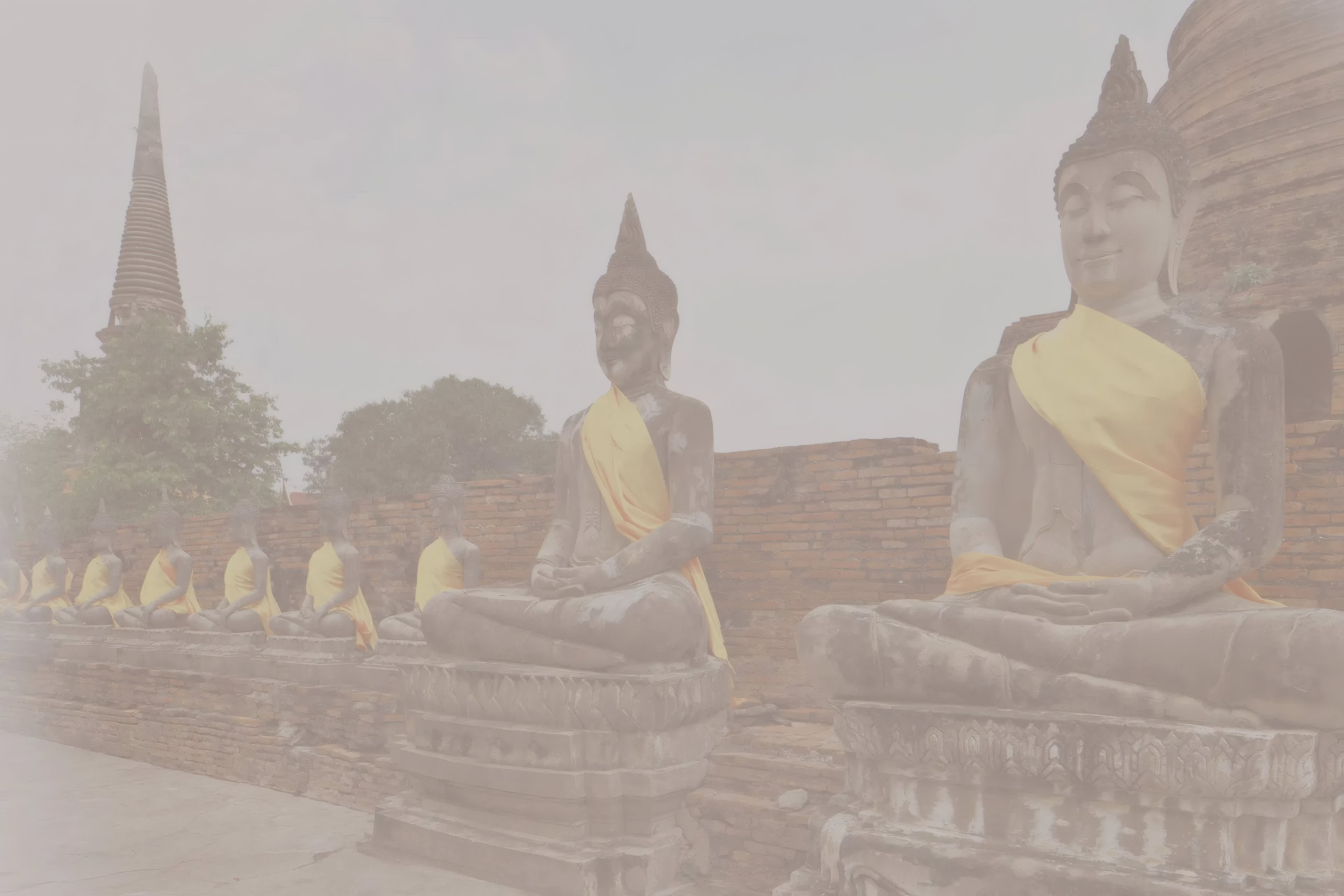 A row of ancient Buddha statues at a temple ruin