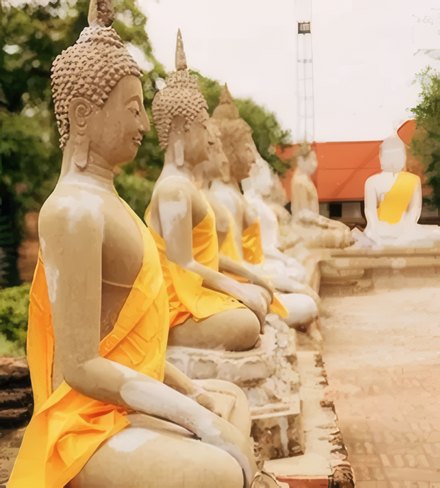 Buddha statues in saffron sashes