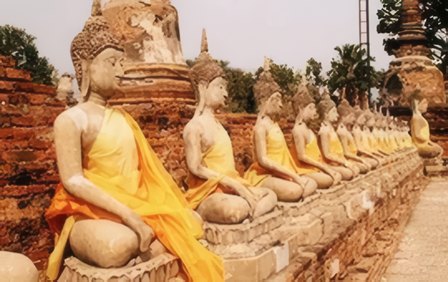 Top 5 Buddhist Books For Newbies