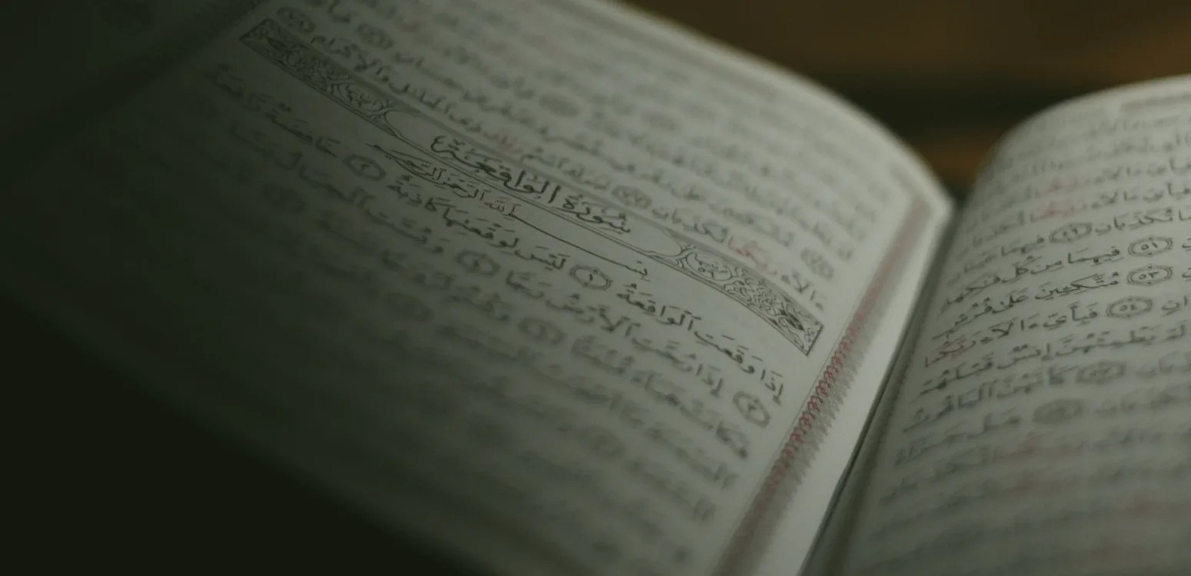 An open Quran in soft light