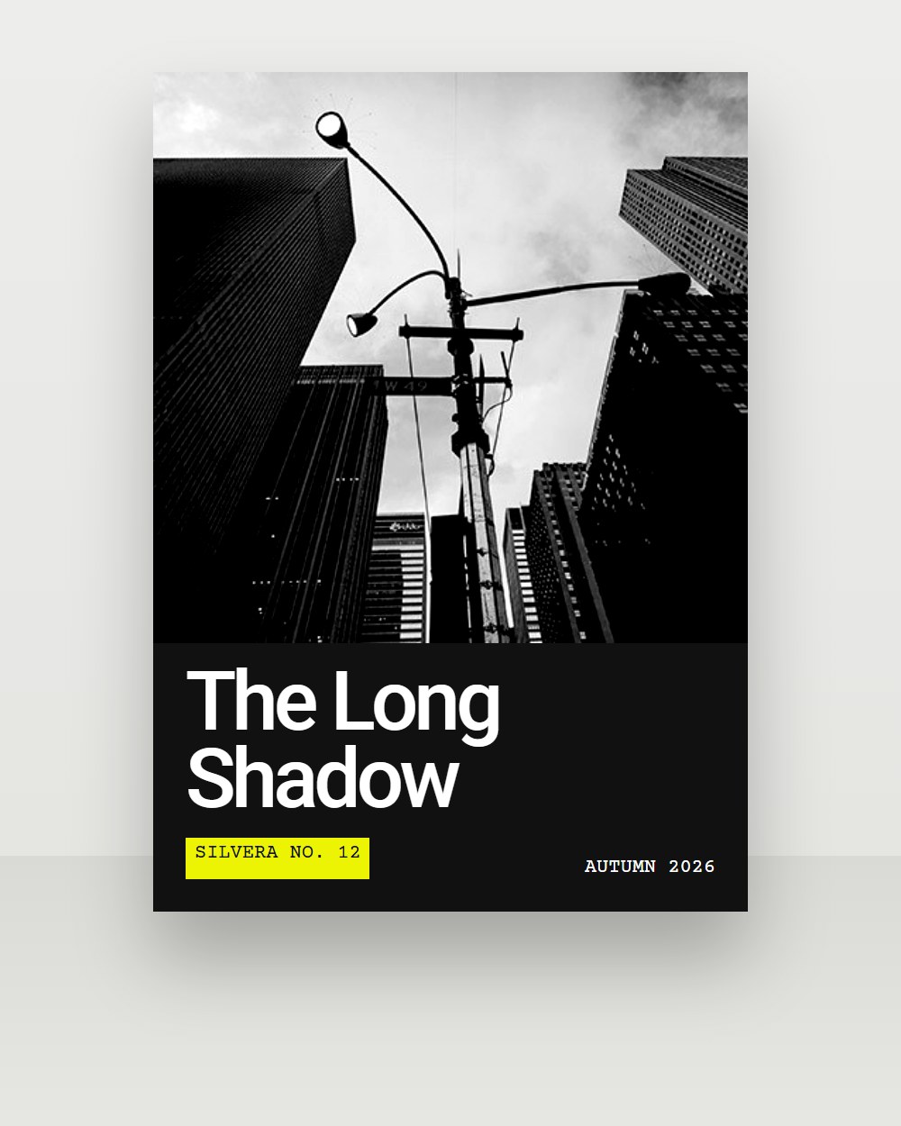 The Long Shadow Poster