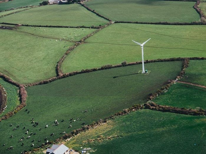 Dorset Dairy Farm