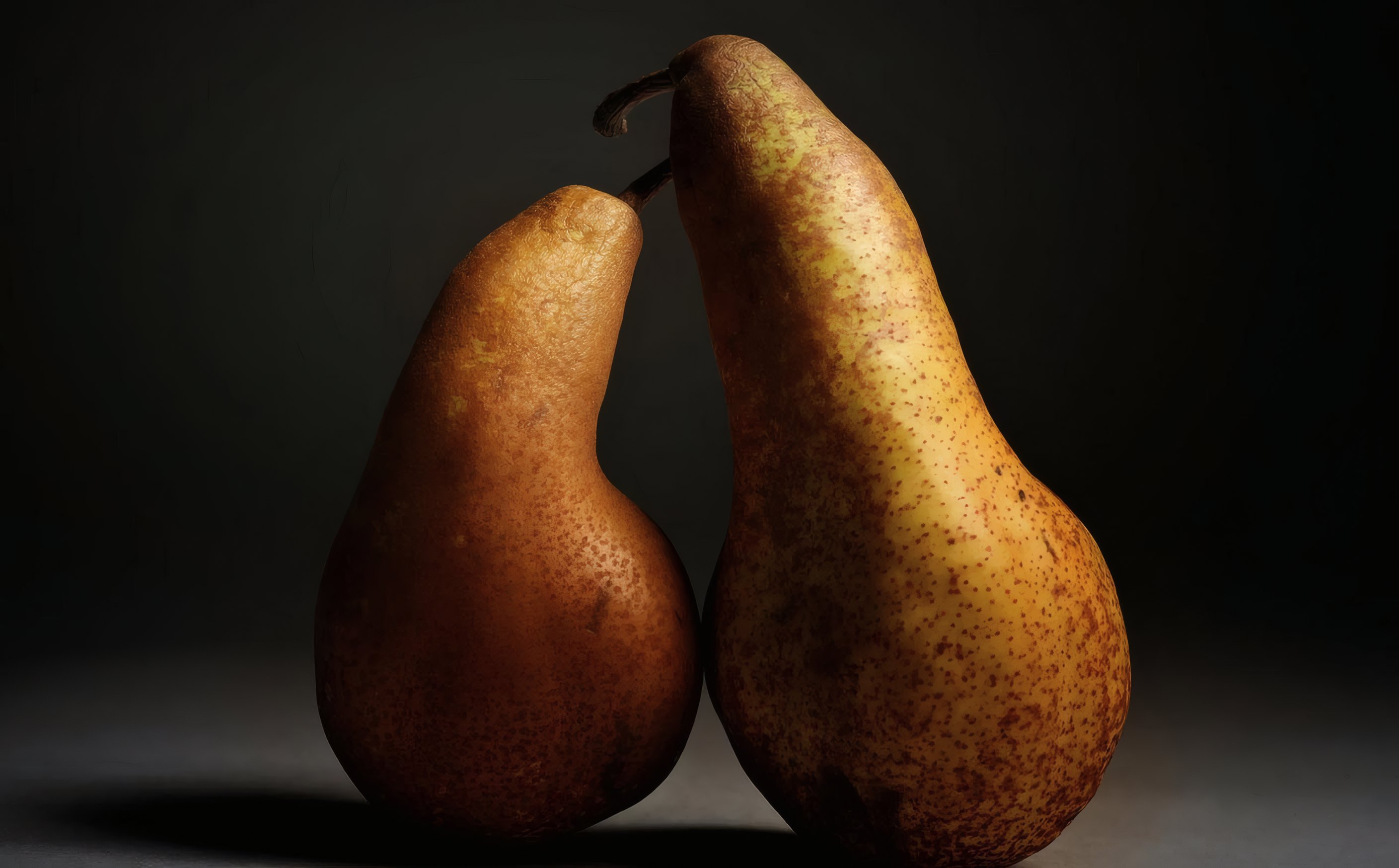 One Window: Why Every Still Life Here Is Lit From The Left
