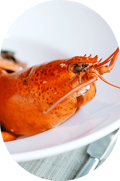 A lobster on a white plate