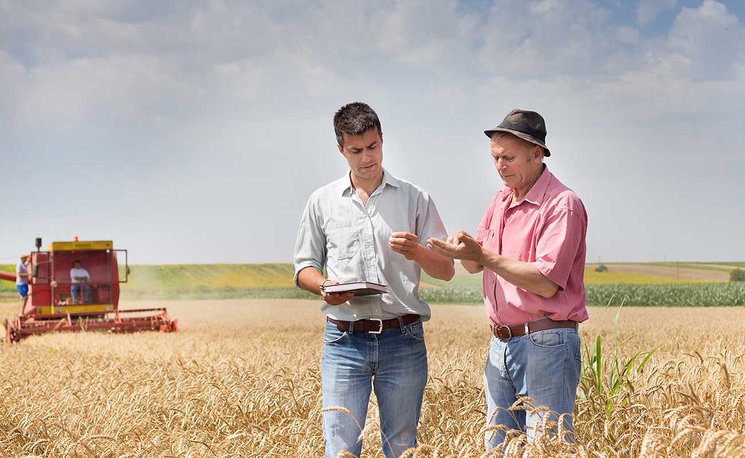 Agriculture division at work