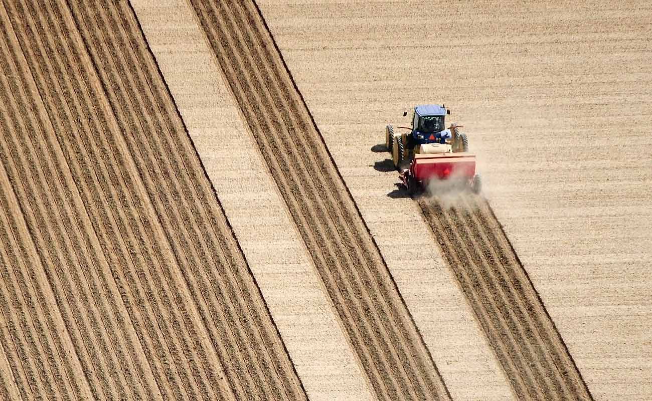 Precision Farm Network