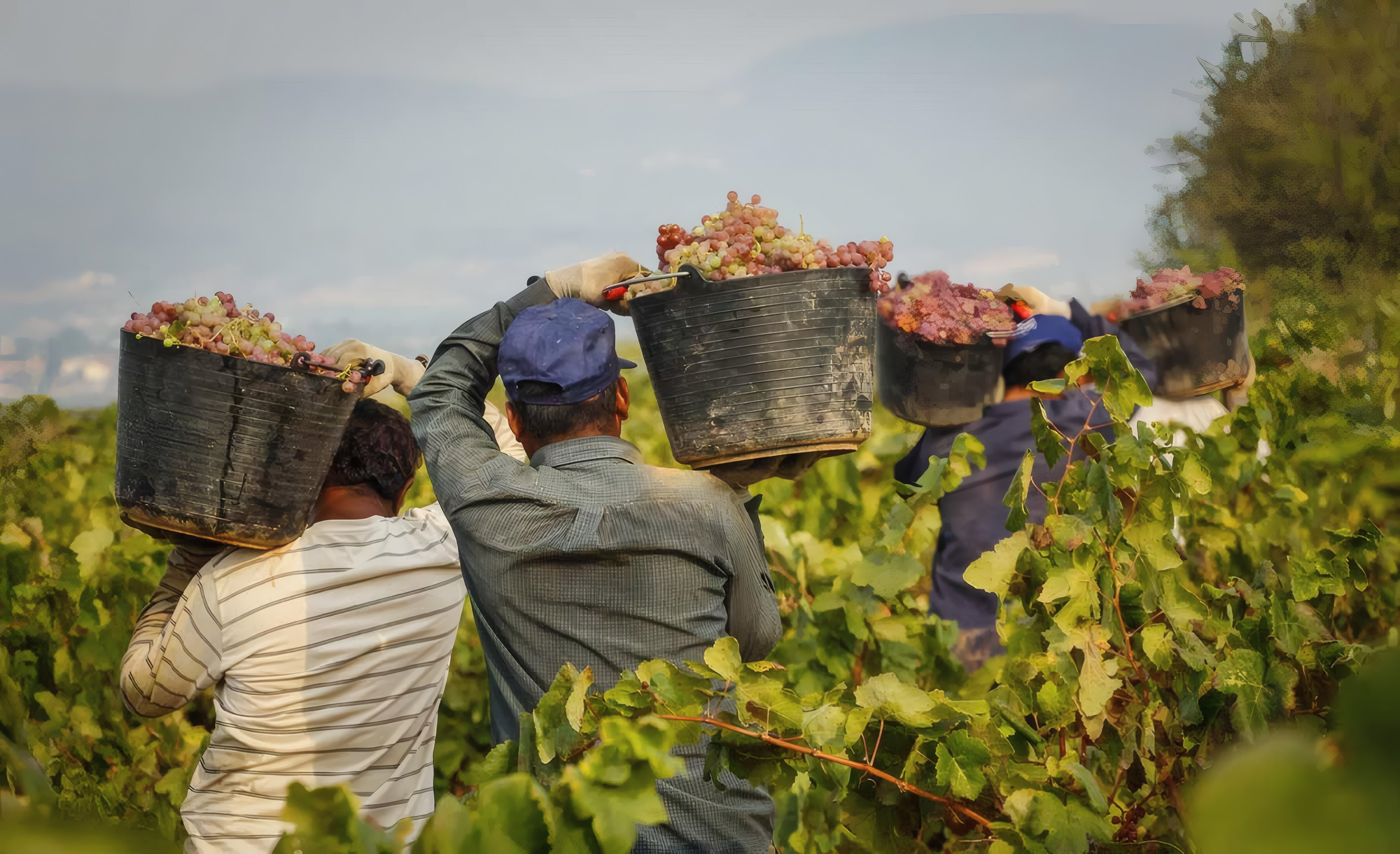 The Runner
