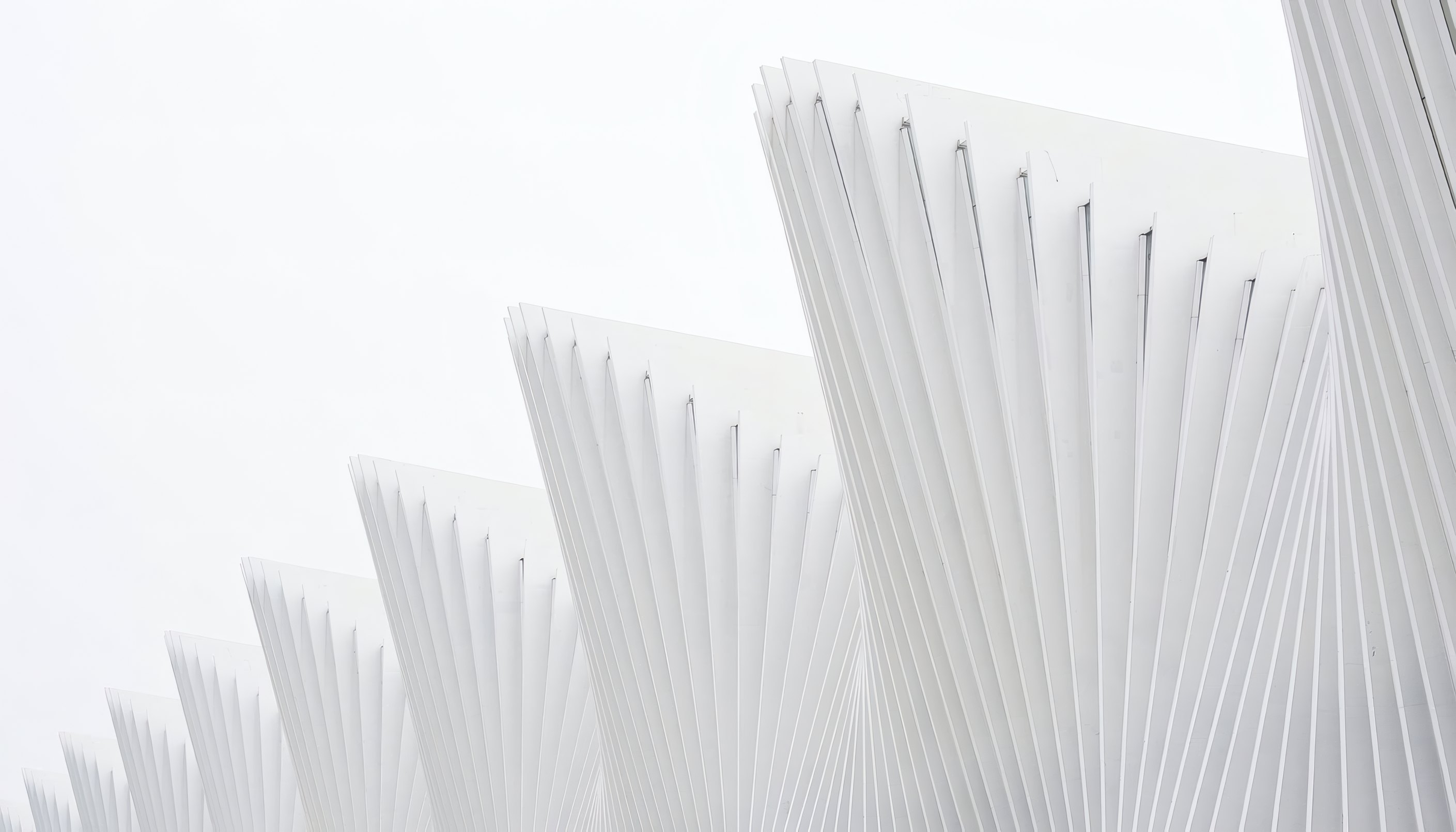 Rib Pavilion by Atelier Brise, white ribs in raking light