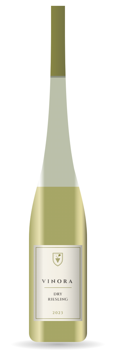 Dry Riesling 2023 bottle