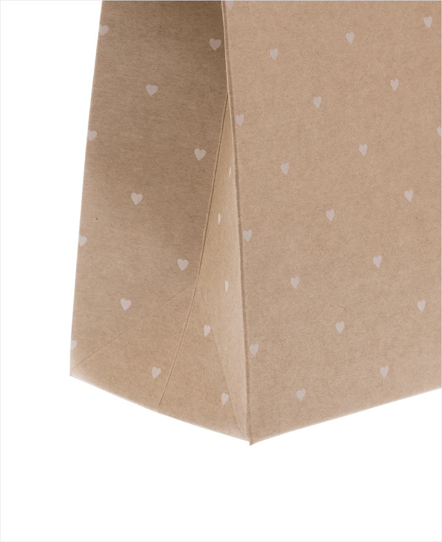 Tall Kraft Bottle Bag