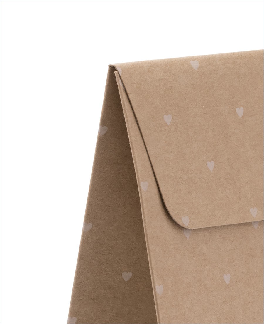 Flat Kraft Envelope Bag