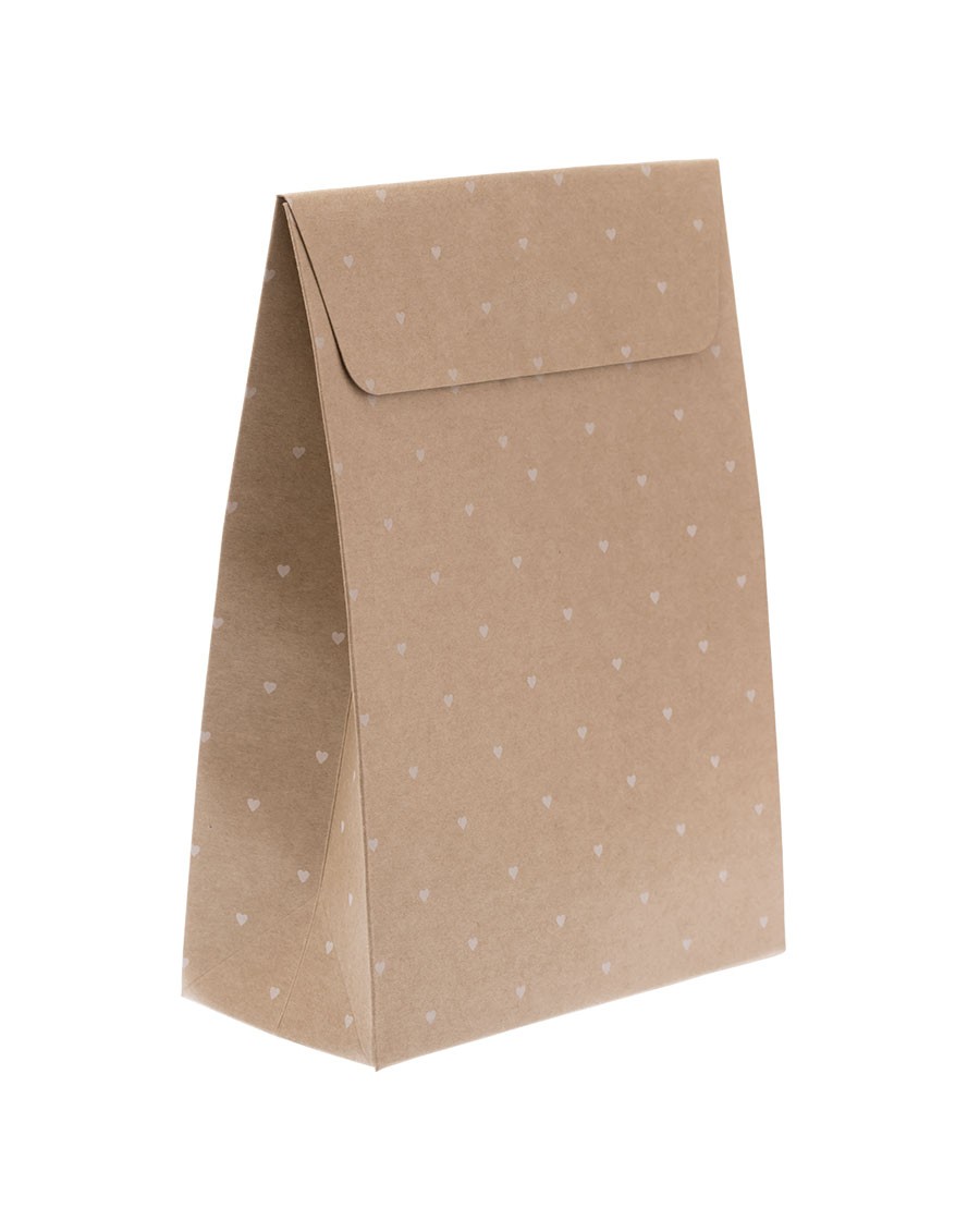 Recycled Kraft Gift Bag