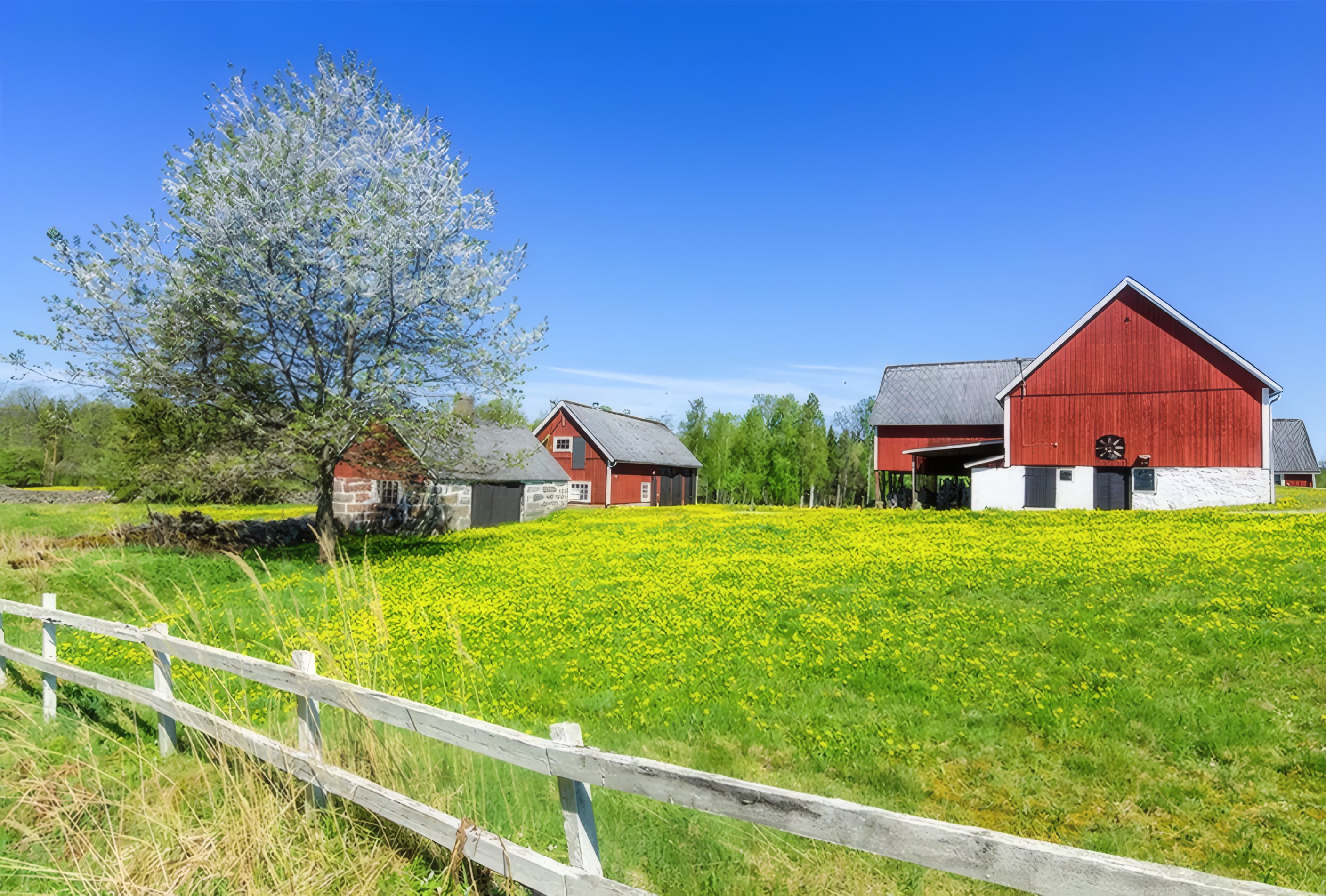The red barn and the spring pasture