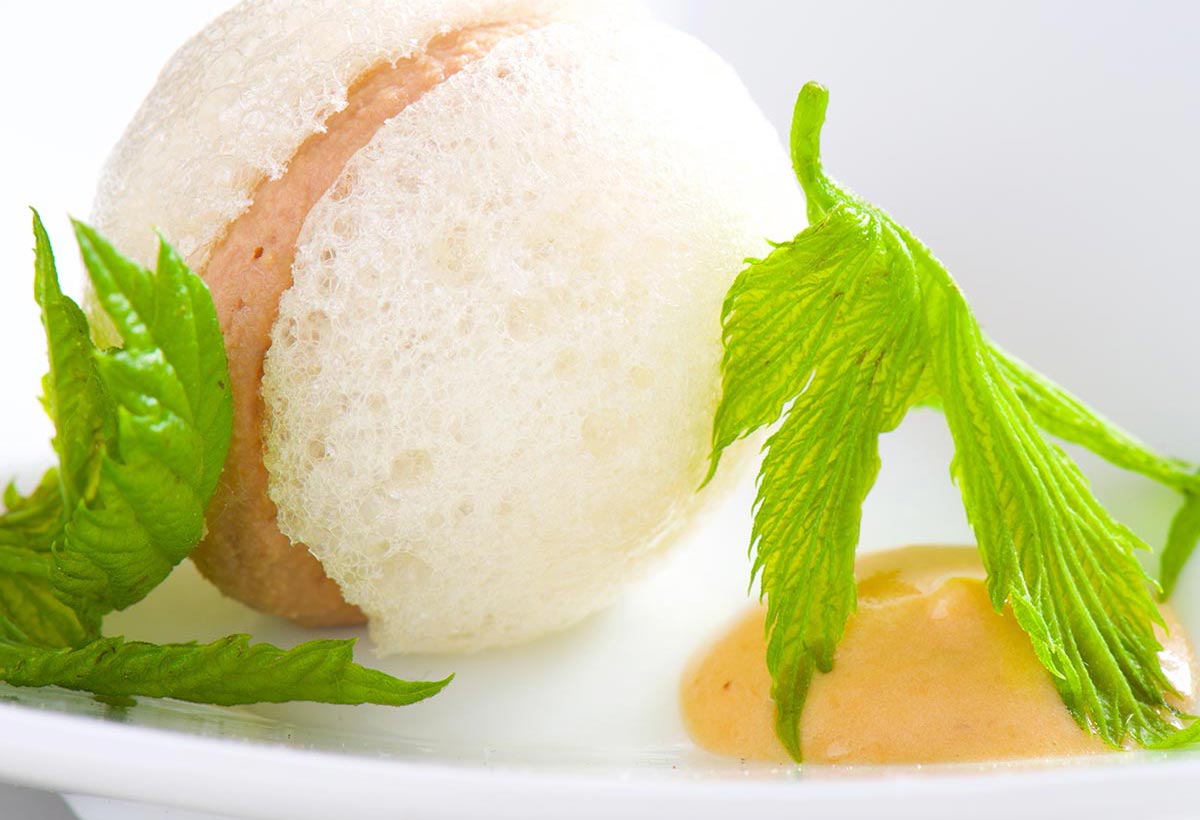 Coconut & Shiso, seen from above